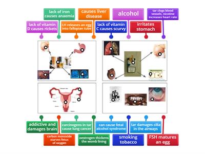 Lifestyle and disease pictionary