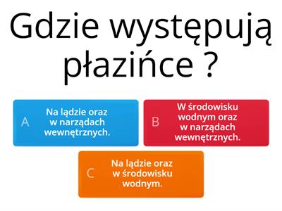 Płazińce