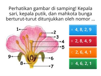 Tema 1 Subtema 1 Tumbuhan Sahabatku