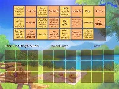 Multicellular Unicellular Sort