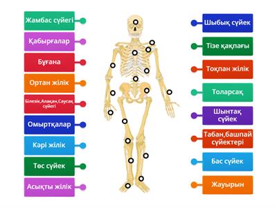 Желіде университет ваннасындағы жасырын камераны қараңыз