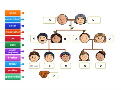 Oral - Family tree