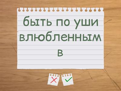 English File(Pre-Intermediate) Unit 2C