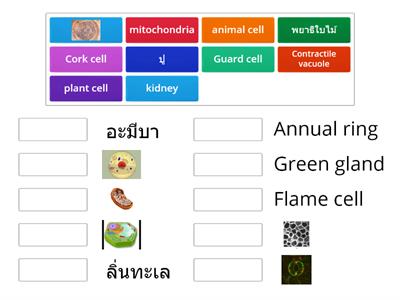 Biology for education