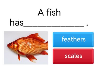  BLUE PLANET REVIEW - UNIT 3 AND UNIT 4