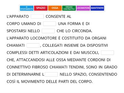 SCIENZE: L'APPARATO LOCOMOTORE