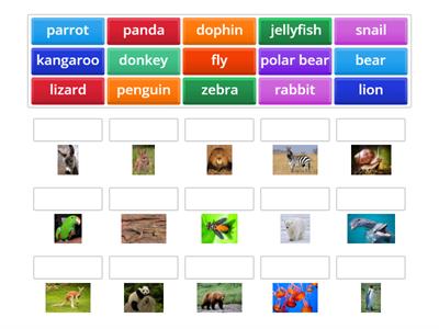 2 fun for movers unit 2  animals