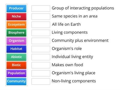 Ecosystem Organization Match-Up