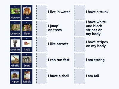 ANIMALS IN THE  JUNGLE 