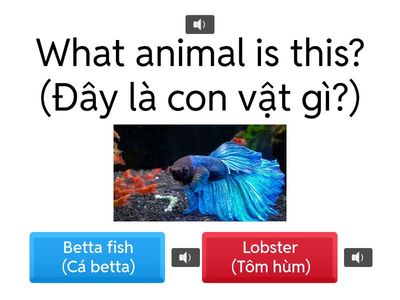 KHỐI 2-3 (CÂU 1-10)