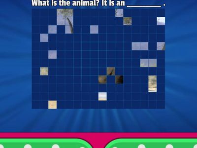 Guess the hidden animal