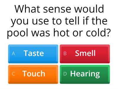 5 senses quiz