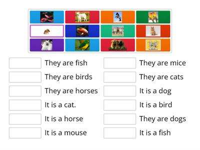 Kid's box 1 Unit 5 Pets Plural