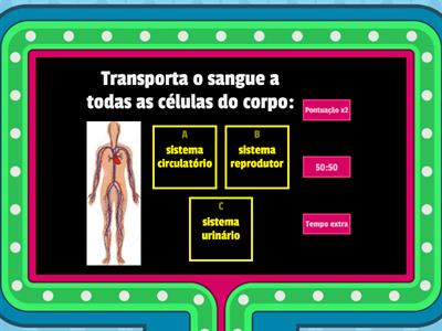 SISTEMA CIRCULATÓRIO - 3.º ano - Ensino Básico