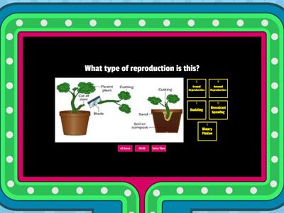 Cell Reproduction Review