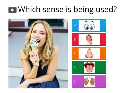 five senses quiz