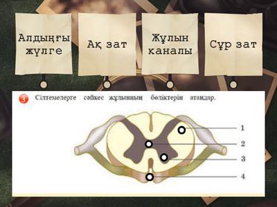 Құлдық порно онлайн