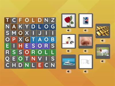 Long O Words Word Search