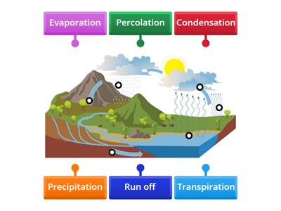 Label the water cycle