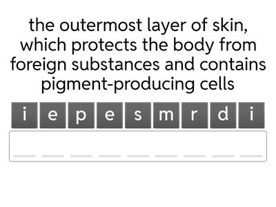 Lesson 8.2- Common Skin Problems