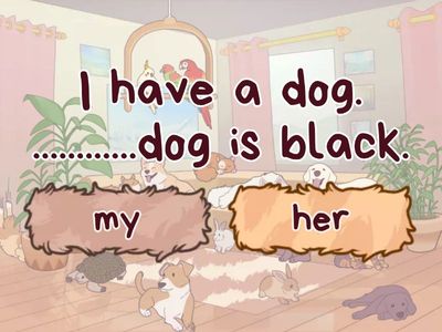 Possessive adjectives