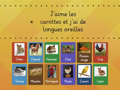 Les animaux : Qui suis-je ? Clique sur le bon animal 