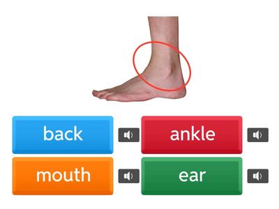 GW A2 Unit 3 Body parts (Quiz)