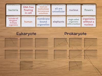 Eukaryote vs Prokaryote
