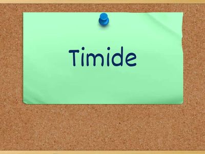 Personality adjectives