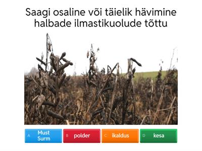 Elu maal 7 kl - mõisted