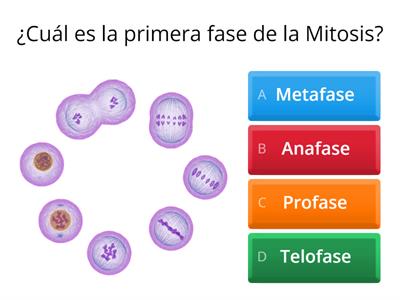 MITOSIS Y MEIOSIS