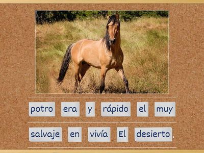 CABALLOS2