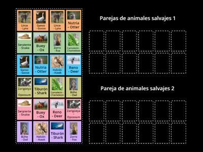 Memorama about Wild Animals