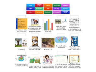 Text Feature/Definition Match