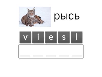 Metsän nisäkkäitä ja lintuja