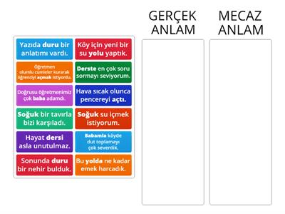 GERÇEK-MECAZ ANLAM (Koyu yazılmış sözcükleri, cümlede kazandıkları anlamlara göre uygun başlıkların altına alın.)