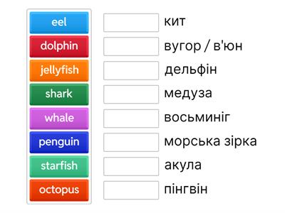 Academy Stars 3: Unit 6 (vocabulary)