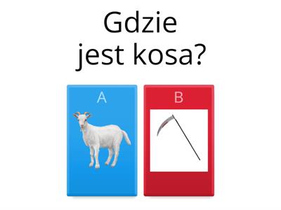 Słuch fonematyczny