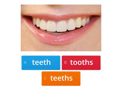 Plural nouns Regular and Irregular forms