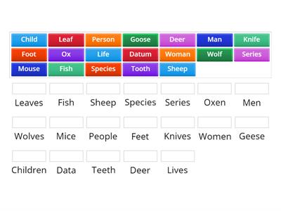 Irregular Plural Nouns