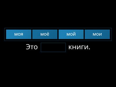 Притяжательные местоимения 