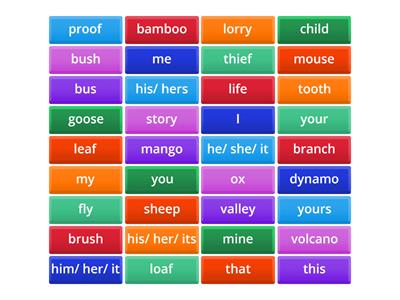 Singular and Plural Nouns