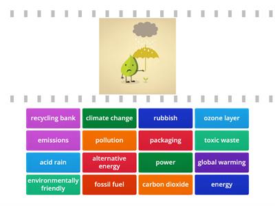 p 86 environment vocabulary