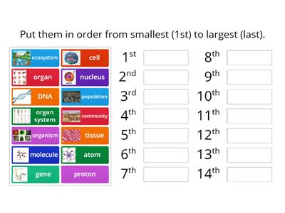 Organization of Life Blitz