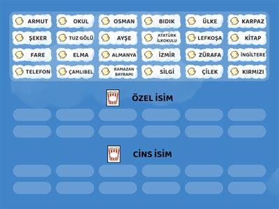 ÖZEL İSİM-CİNS İSİM