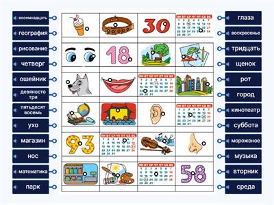 Урок 7. Сорока 2. Бинго