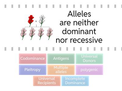 Non-Mendelian Inheritance