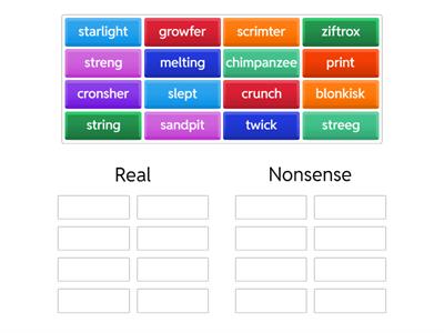 Phonics: Phase 4 Real and Nonsense sort