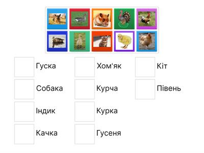 Тварини та птахи