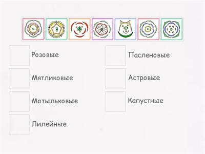 Диаграммы цветков